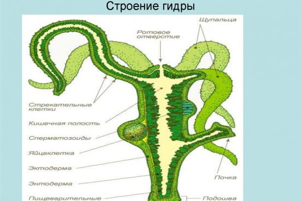 Kraken ссылка kraken link24 info