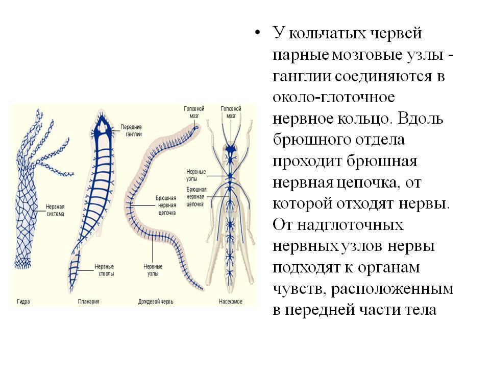 Кракен маркет даркнет слушать